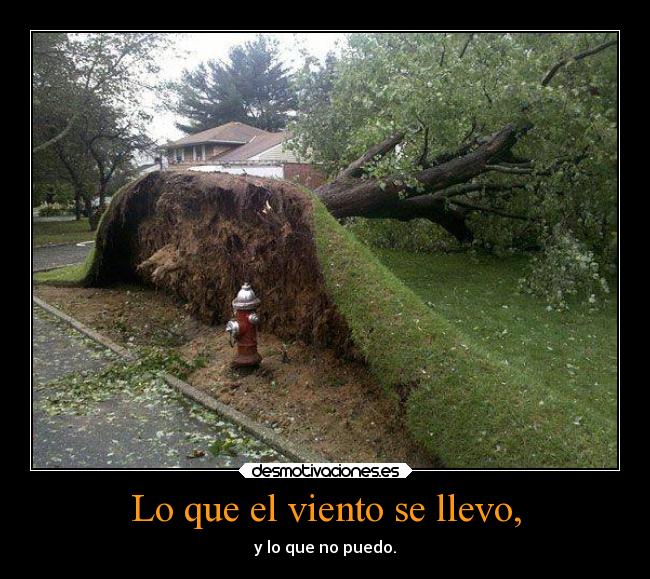 carteles lirico una frase bastante usado pero desgastada viento desmotivaciones