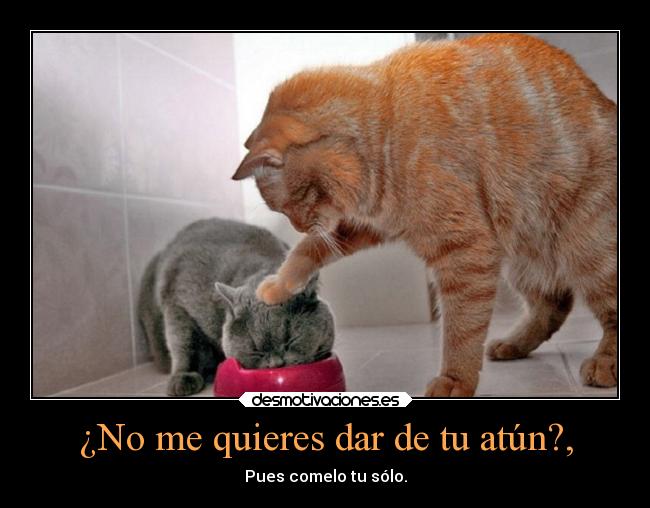 ¿No me quieres dar de tu atún?, - Pues comelo tu sólo.