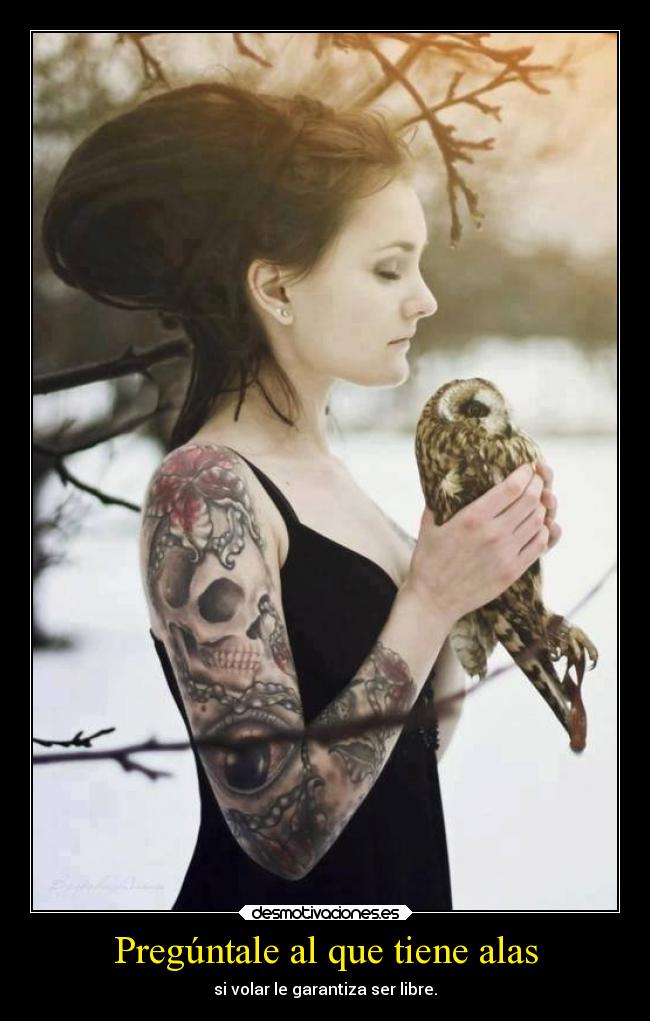 Pregúntale al que tiene alas -