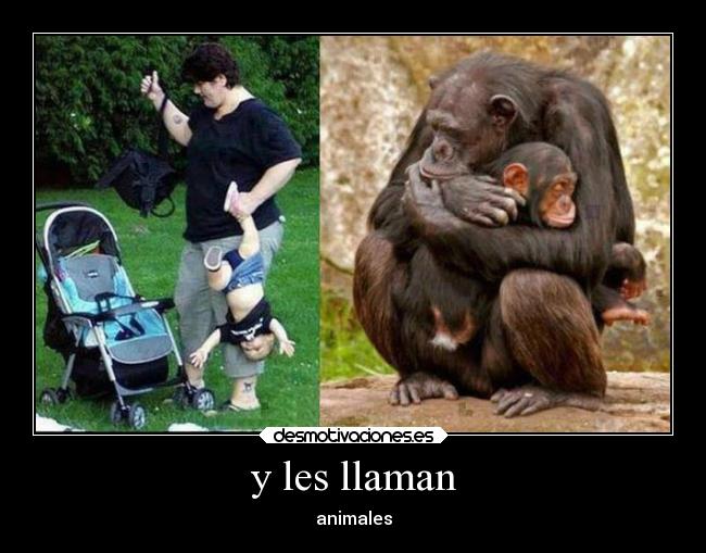 y les llaman - 