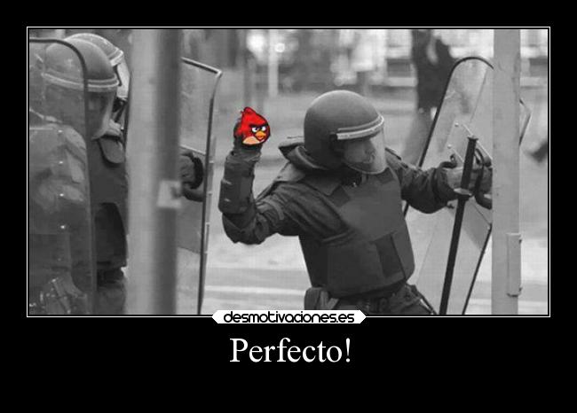 Perfecto! -