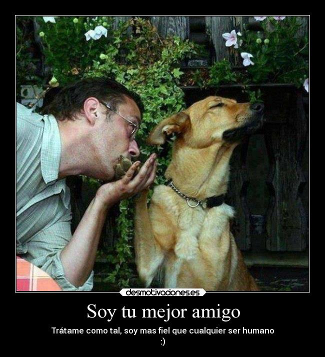Soy tu mejor amigo - Trátame como tal, soy mas fiel que cualquier ser humano
:)