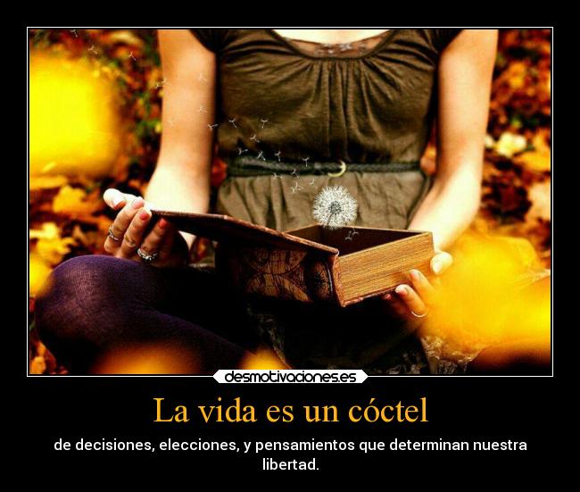 La vida es un cóctel - 