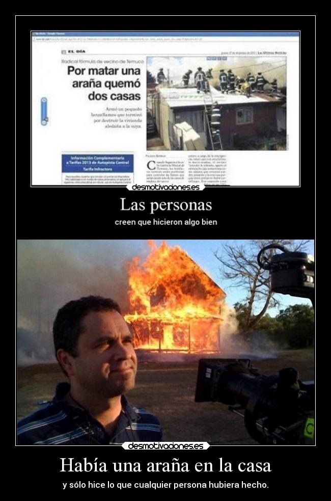 Había una araña en la casa - y sólo hice lo que cualquier persona hubiera hecho.