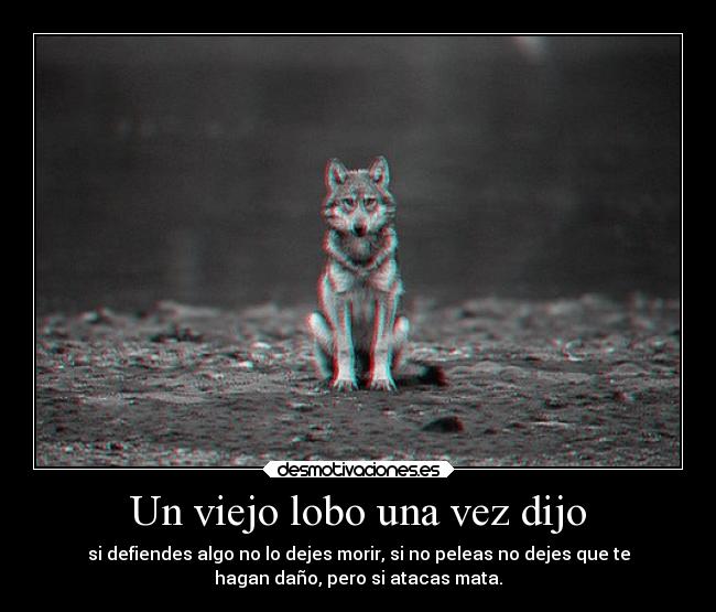 Un viejo lobo una vez dijo - si defiendes algo no lo dejes morir, si no peleas no dejes que te
hagan daño, pero si atacas mata.