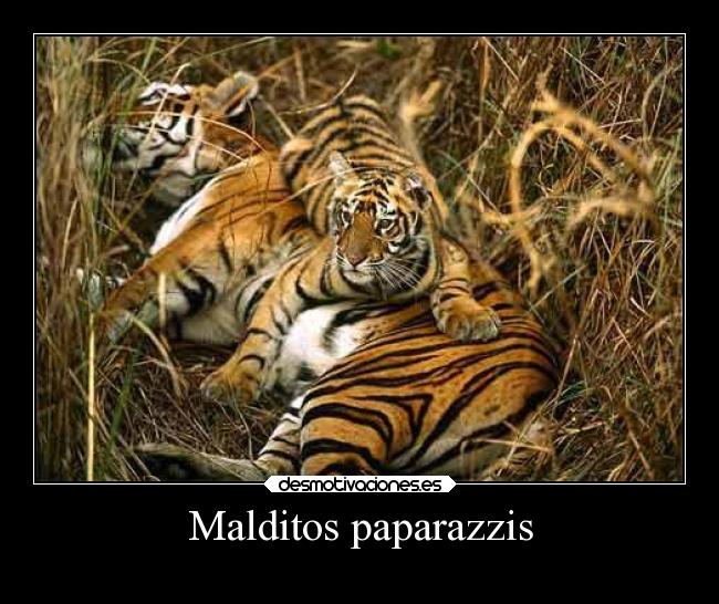 carteles theinmortals raptorhunters humor desmotivaciones