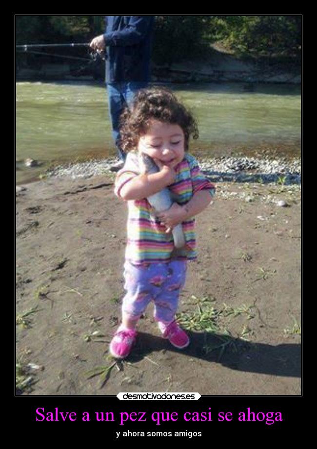 Salve a un pez que casi se ahoga - y ahora somos amigos