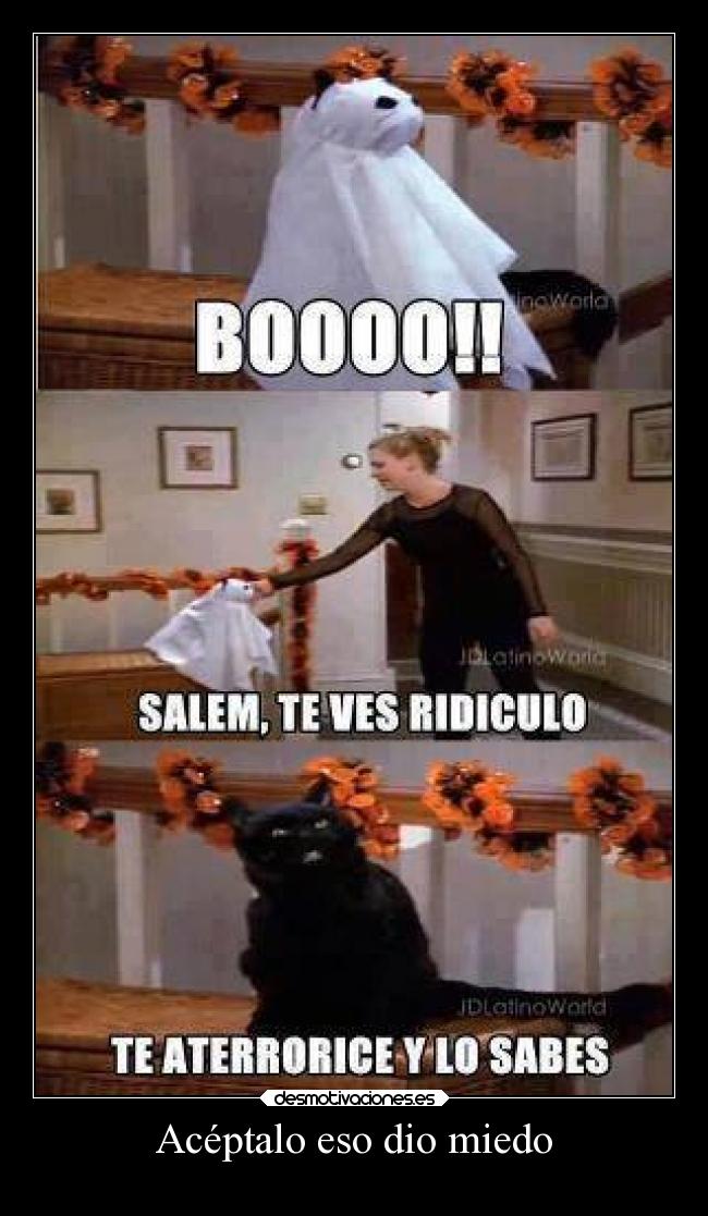 Acéptalo eso dio miedo -