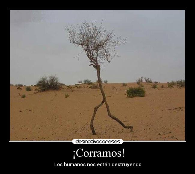 ¡Corramos! -