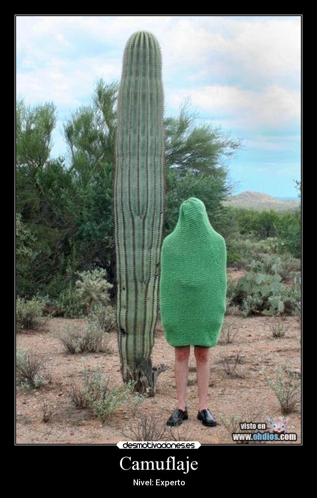 Camuflaje - Nivel: Experto