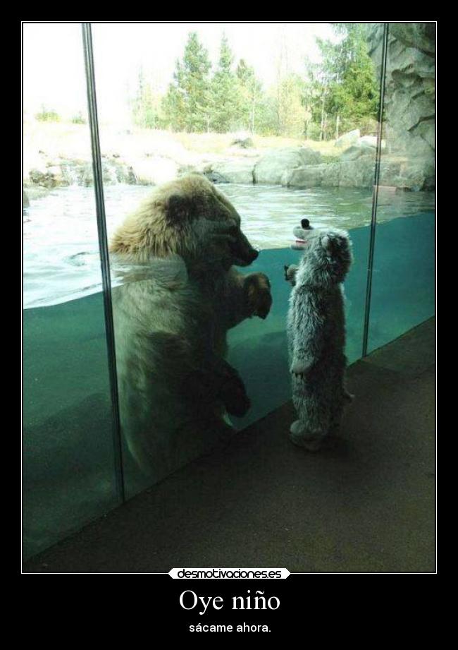 Oye niño - sácame ahora.