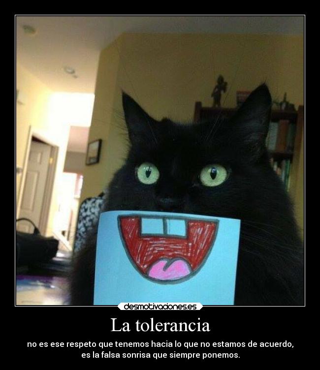 carteles animales criticas desmotivaciones gatospor que esta tags gatosxdd desmotivaciones