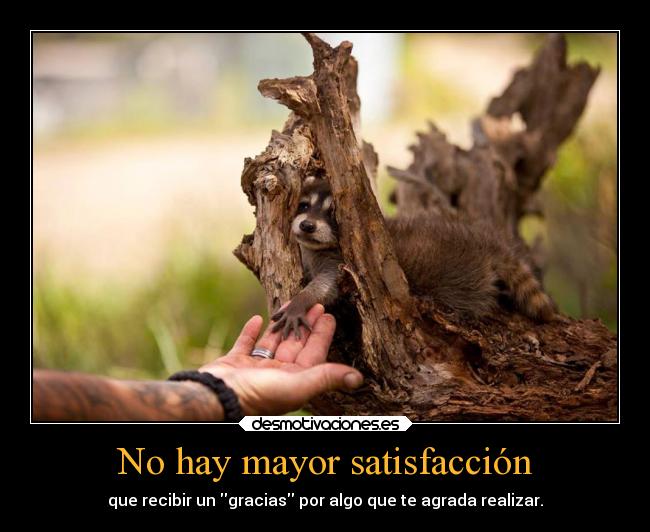 No hay mayor satisfacción - 