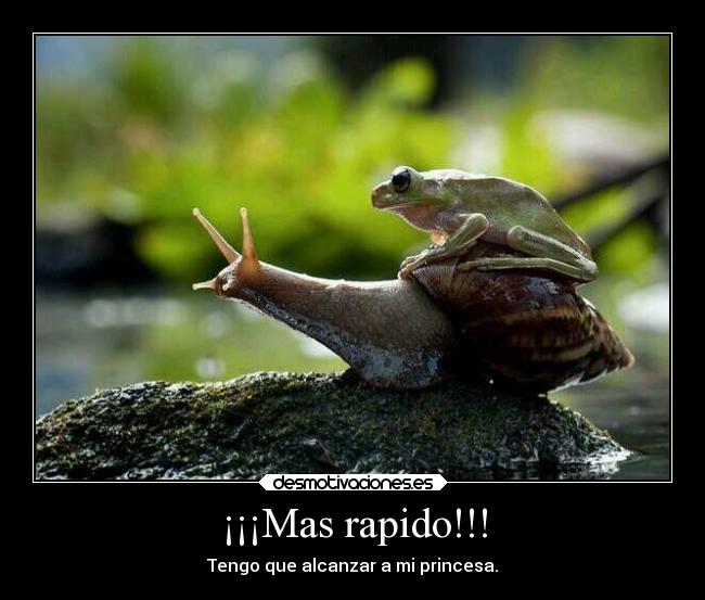 ¡¡¡Mas rapido!!! - Tengo que alcanzar a mi princesa.
