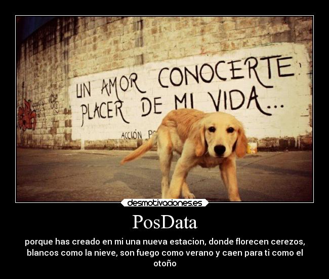 PosData - porque has creado en mi una nueva estacion, donde florecen cerezos,
blancos como la nieve, son fuego como verano y caen para ti como el
otoño