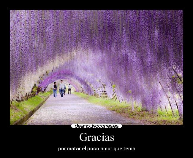 Gracias -
