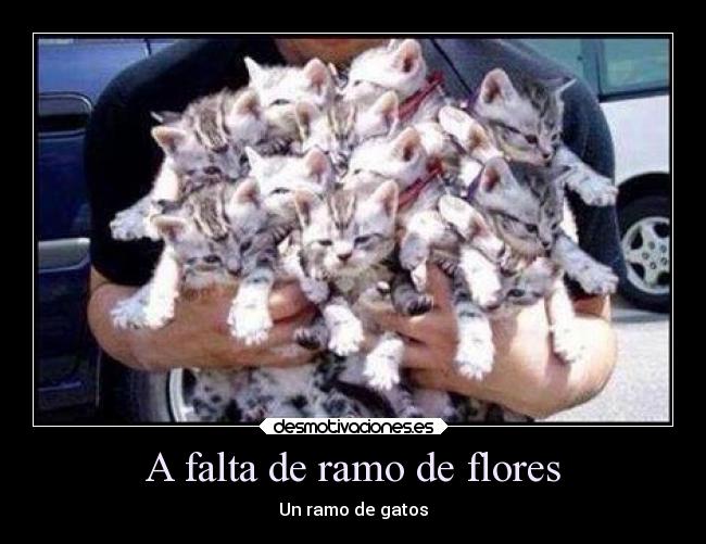 A falta de ramo de flores - 
