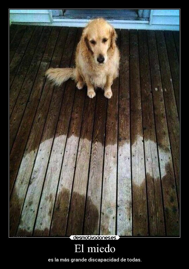 El miedo - es la más grande discapacidad de todas.