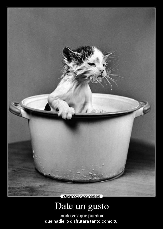 Date un gusto -