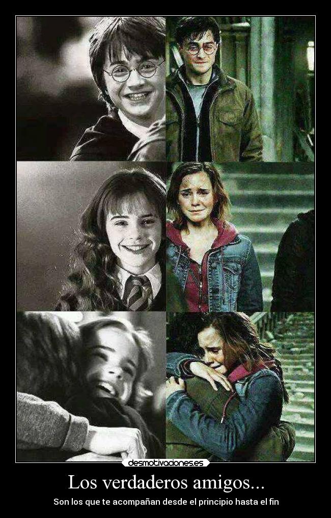 Los verdaderos amigos... - Son los que te acompañan desde el principio hasta el fin