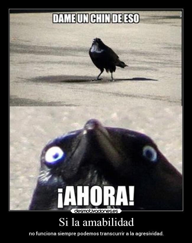 Si la amabilidad - no funciona siempre podemos transcurrir a la agresividad.