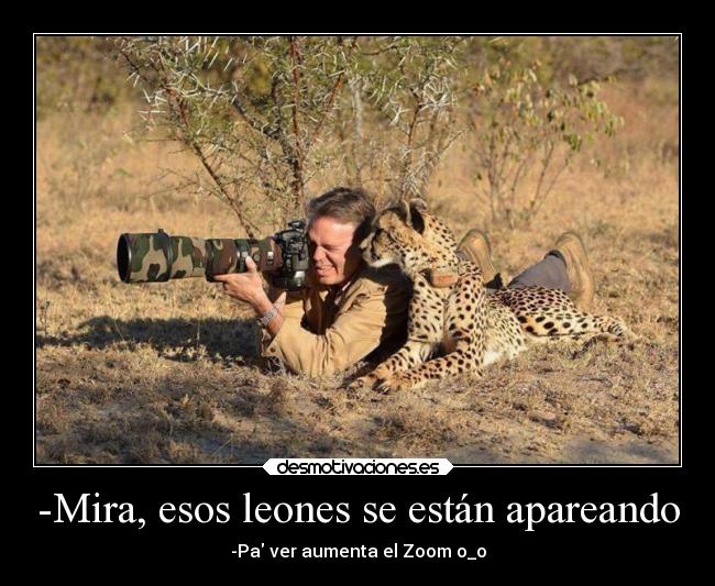 -Mira, esos leones se están apareando - -Pa ver aumenta el Zoom o_o