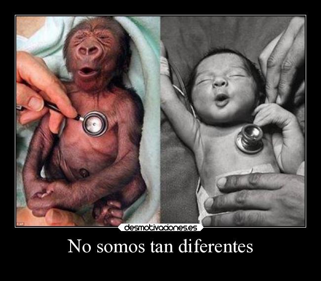 No somos tan diferentes -