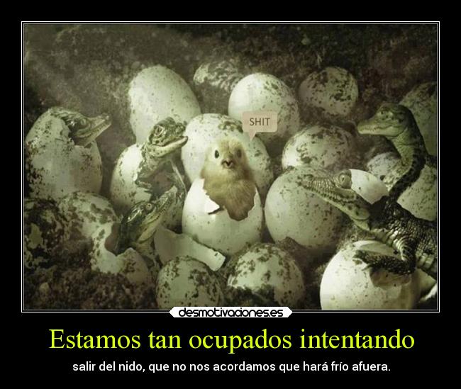 Estamos tan ocupados intentando - 