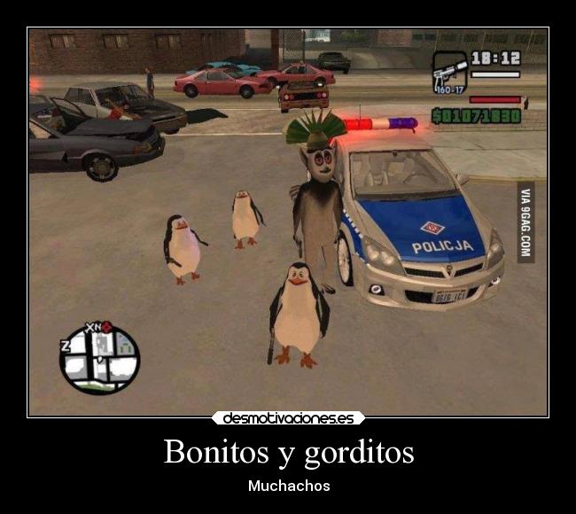 Bonitos y gorditos - Muchachos