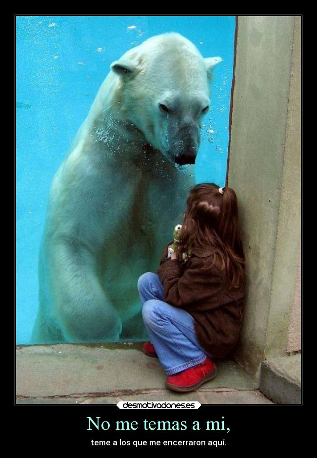 No me temas a mi, - teme a los que me encerraron aquí.
