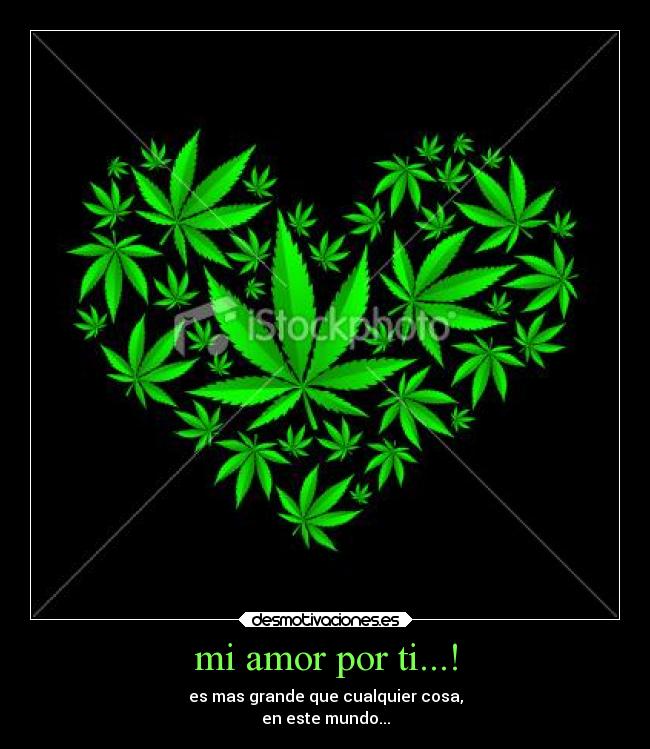 mi amor por ti...! - 