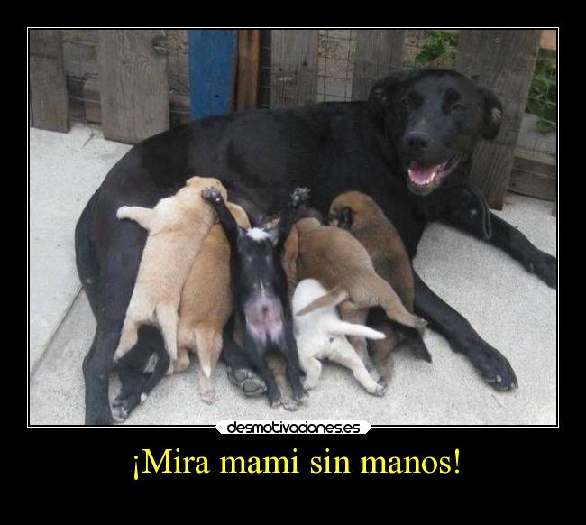 ¡Mira mami sin manos! - 