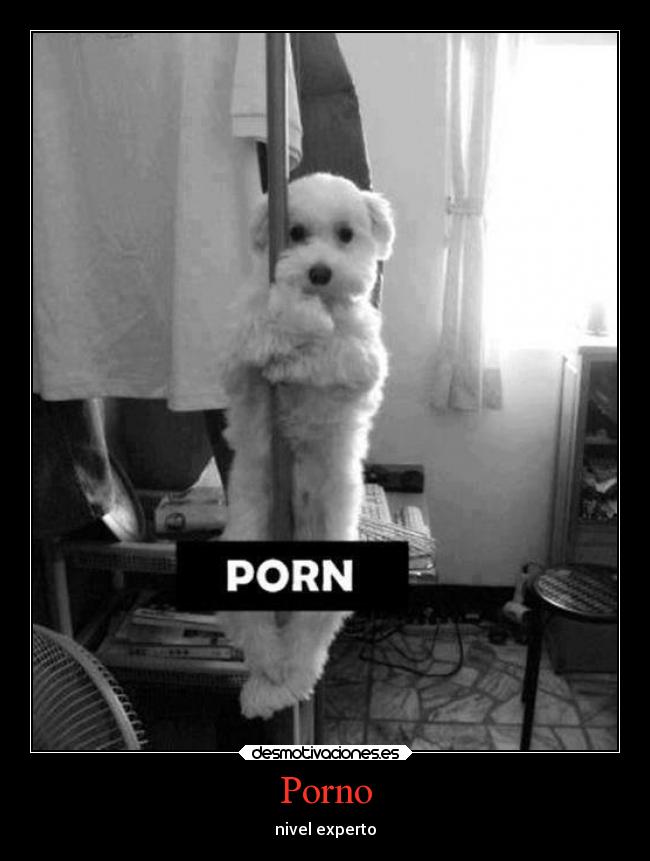 Porno - nivel experto