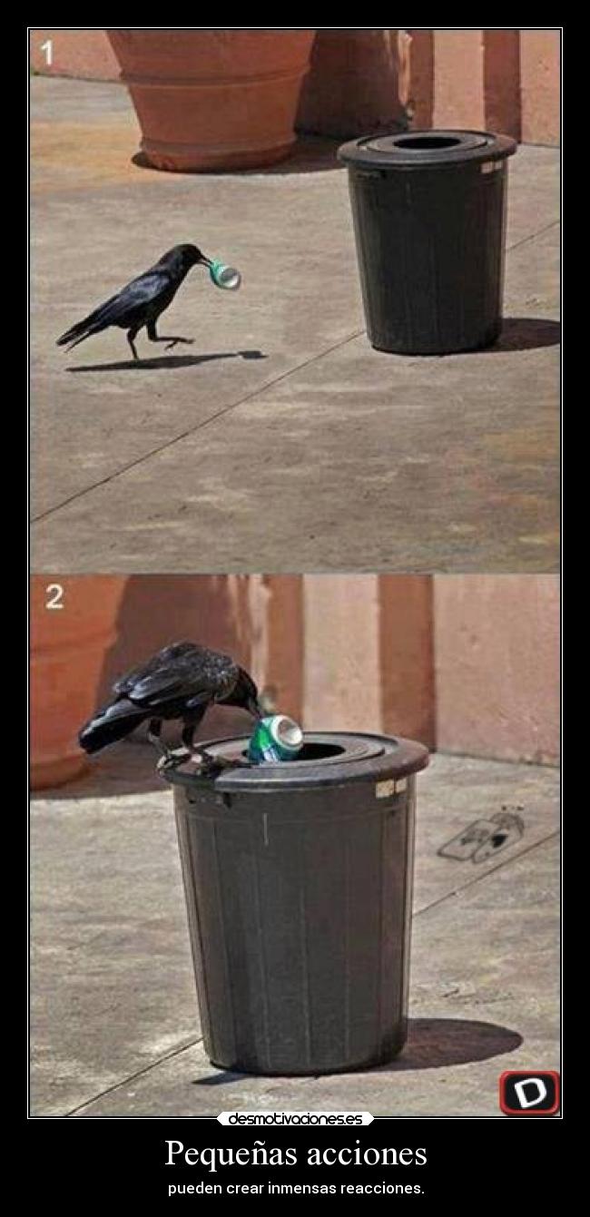 Pequeñas acciones - pueden crear inmensas reacciones.