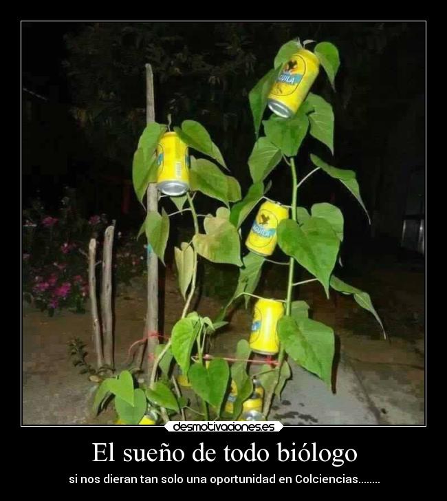 El sueño de todo biólogo - si nos dieran tan solo una oportunidad en Colciencias........