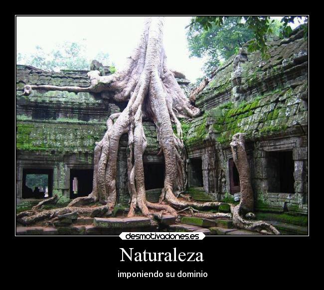 Naturaleza -