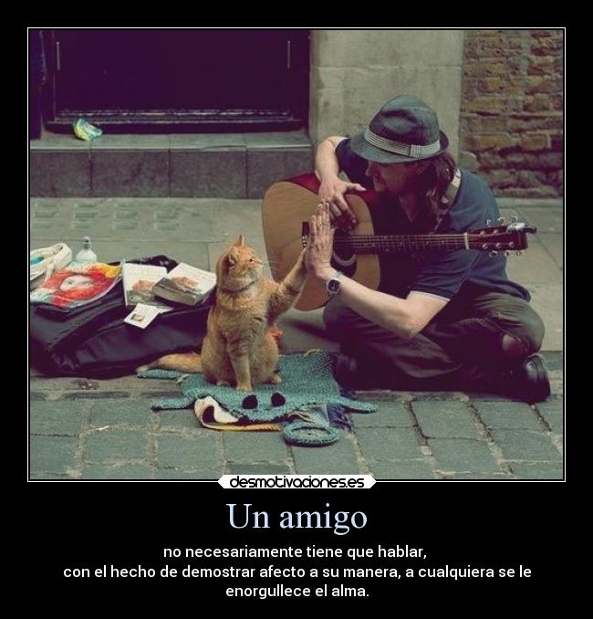 Un amigo - no necesariamente tiene que hablar,
con el hecho de demostrar afecto a su manera, a cualquiera se le
enorgullece el alma.