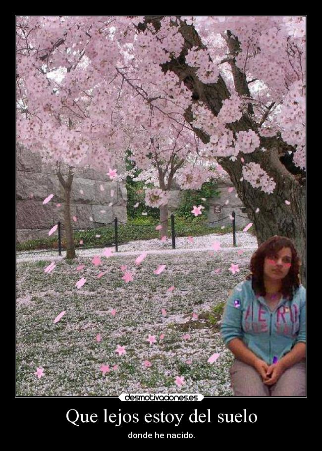 carteles distancia lejos del suelo donde nacido desmotivaciones