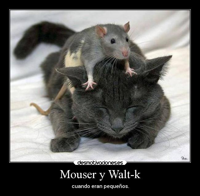 Mouser y Walt-k -