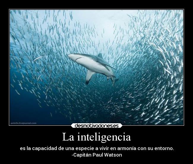 La inteligencia - es la capacidad de una especie a vivir en armonía con su entorno.
-Capitán Paul Watson