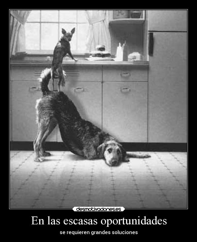 En las escasas oportunidades - se requieren grandes soluciones