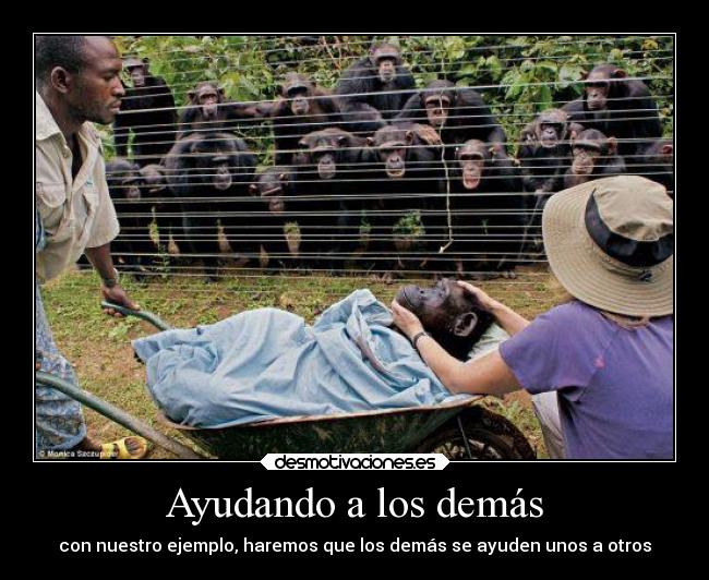 Ayudando a los demás - con nuestro ejemplo, haremos que los demás se ayuden unos a otros