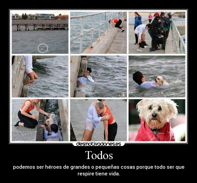 Todos - podemos ser héroes de grandes o pequeñas cosas porque todo ser que
respire tiene vida.