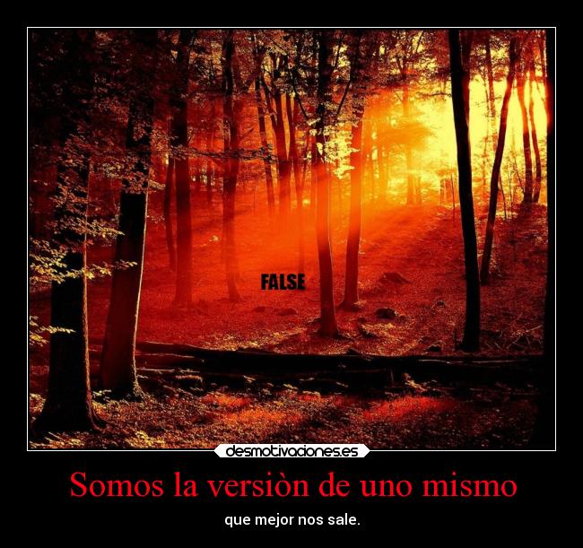 Somos la versiòn de uno mismo - 