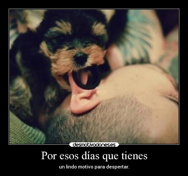 Por esos días que tienes - un lindo motivo para despertar.