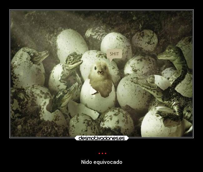 carteles theinmortals raptorhunters animales pollito nido cocodrilo nido equivocado desmotivaciones