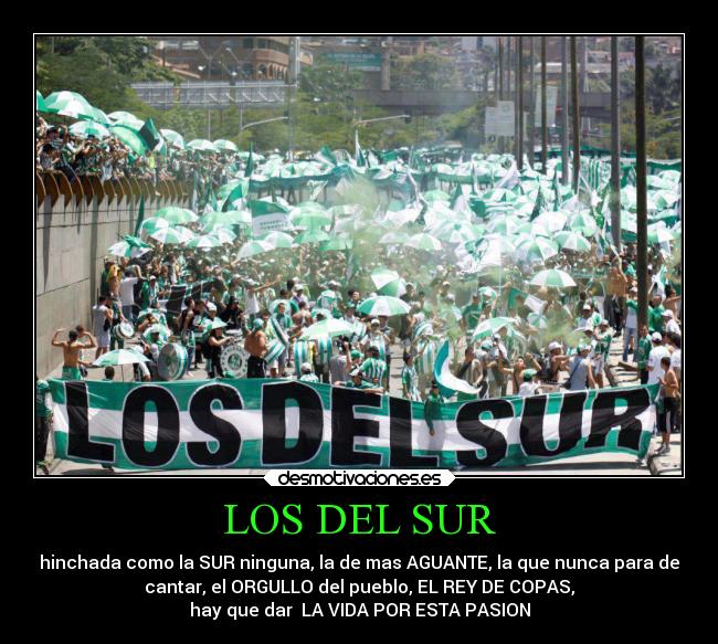 carteles amor desmotivaciones