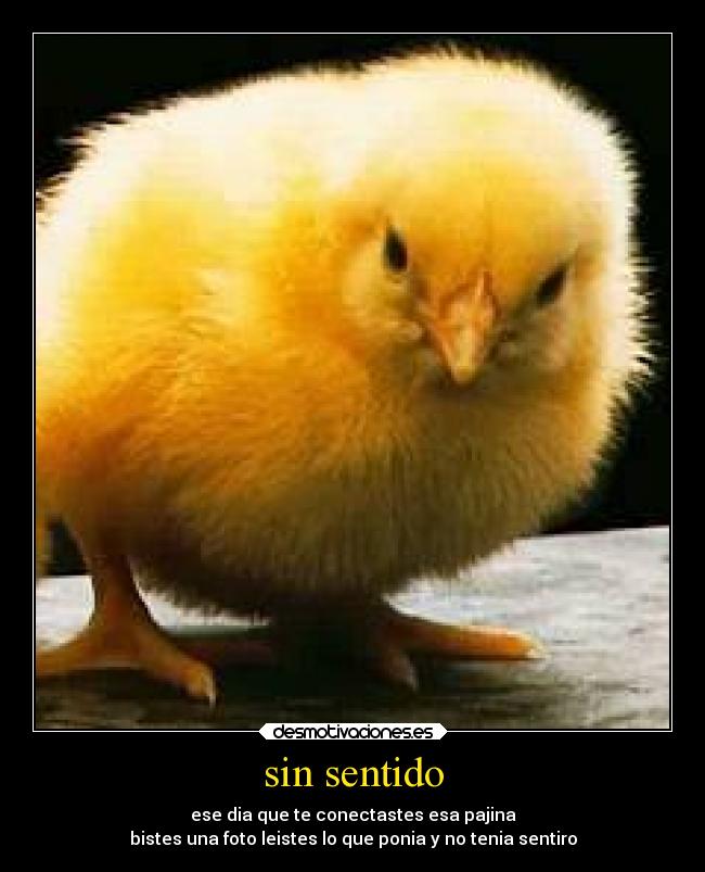 sin sentido - ese dia que te conectastes esa pajina
bistes una foto leistes lo que ponia y no tenia sentiro