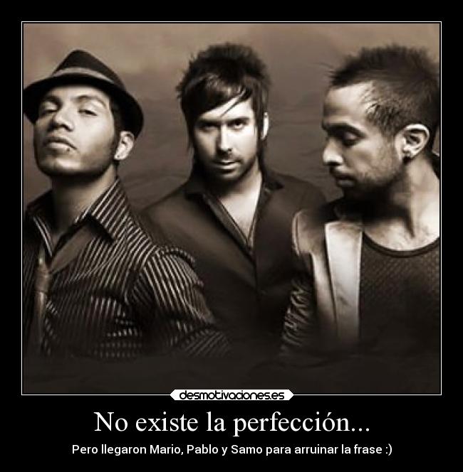 No existe la perfección... -