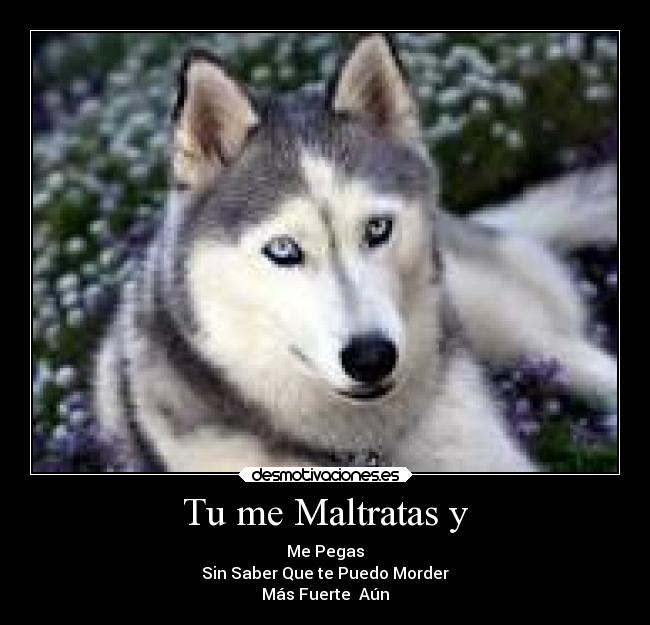 Tu me Maltratas y -